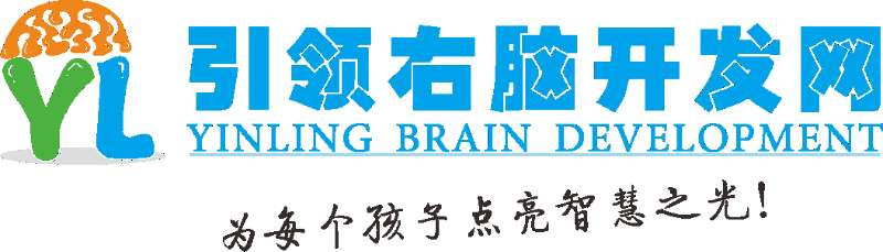引領右腦